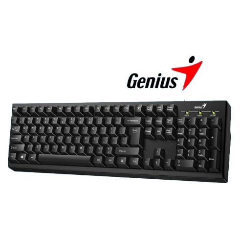 TECLADO GENIUS SMART KB-100USB