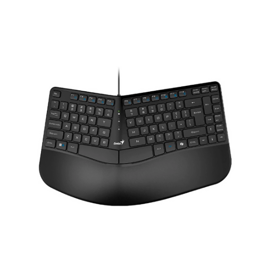 TECLADO GENIUS KB117  USB
